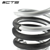 CTS TURBO B8/B8.5 AUDI A4/S4 LOWERING SPRING SET